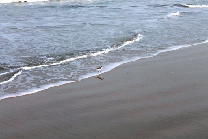 Photo of Exploring Goa by Jogi