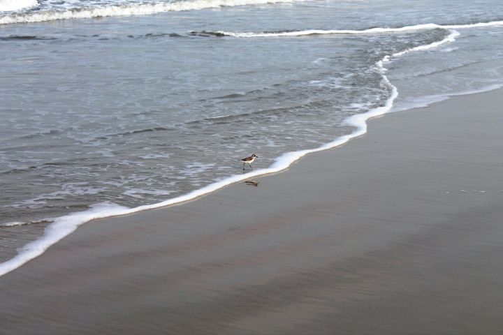 Photo of Exploring Goa by Jogi