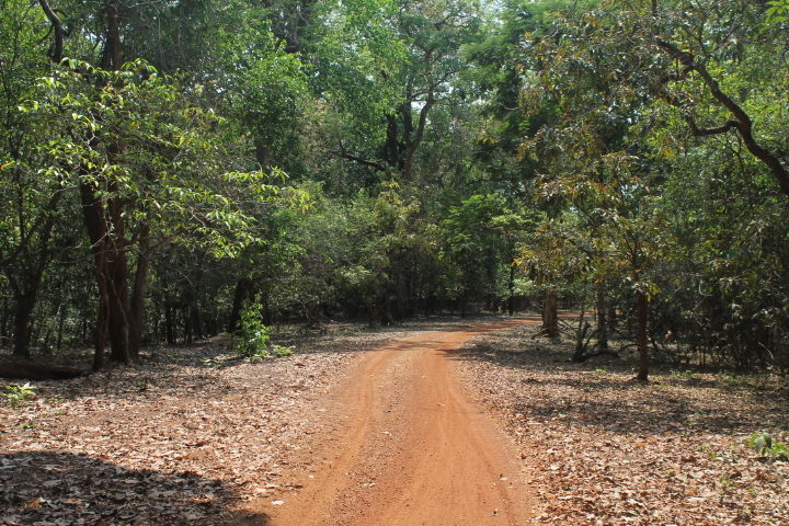 Photo of Exploring Goa by Jogi