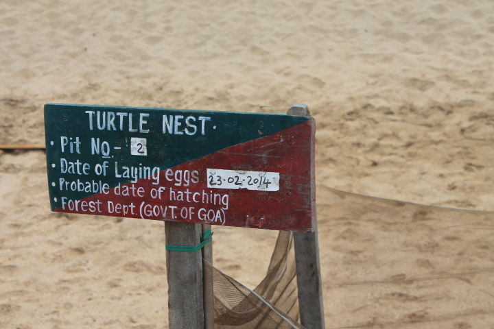 Photo of Exploring Goa by Jogi