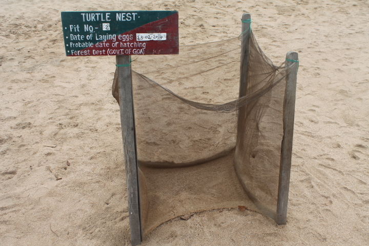 Photo of Exploring Goa by Jogi