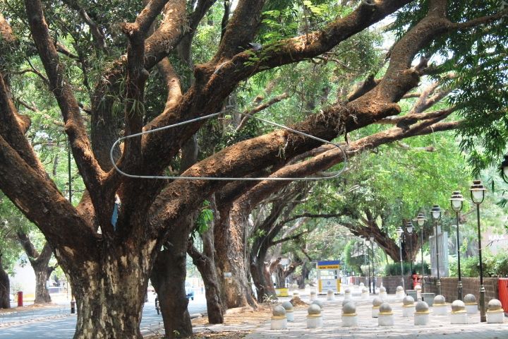 Photo of Exploring Goa by Jogi