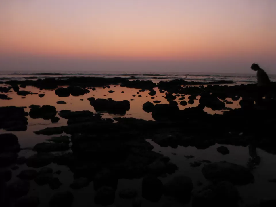Photo of Bandra Bandstand Resident's Trust Children's Garden, BJ Road, Ranwar, Bandra West, Mumbai, Maharashtra 400050, India by Krishan Ramani