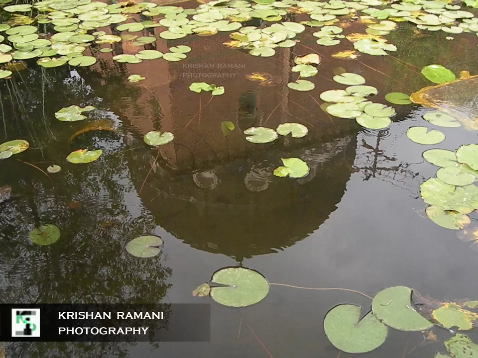 Photo of The Maharaja Sayajirao University of Baroda, Pratapgunj, Vadodara, Gujarat 390002, India by Krishan Ramani