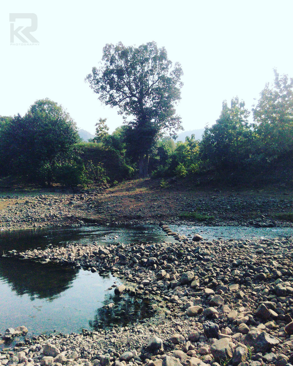 Photo of Unseen Waterfalls Tracks of Gujarat (Saribar, Dahel, Zarwani & Ninai) 1/25 by Krishan Ramani