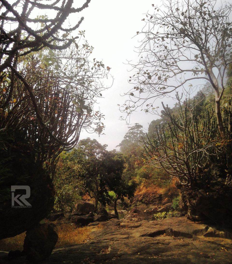Photo of Unseen Waterfalls Tracks of Gujarat (Saribar, Dahel, Zarwani & Ninai) 7/25 by Krishan Ramani