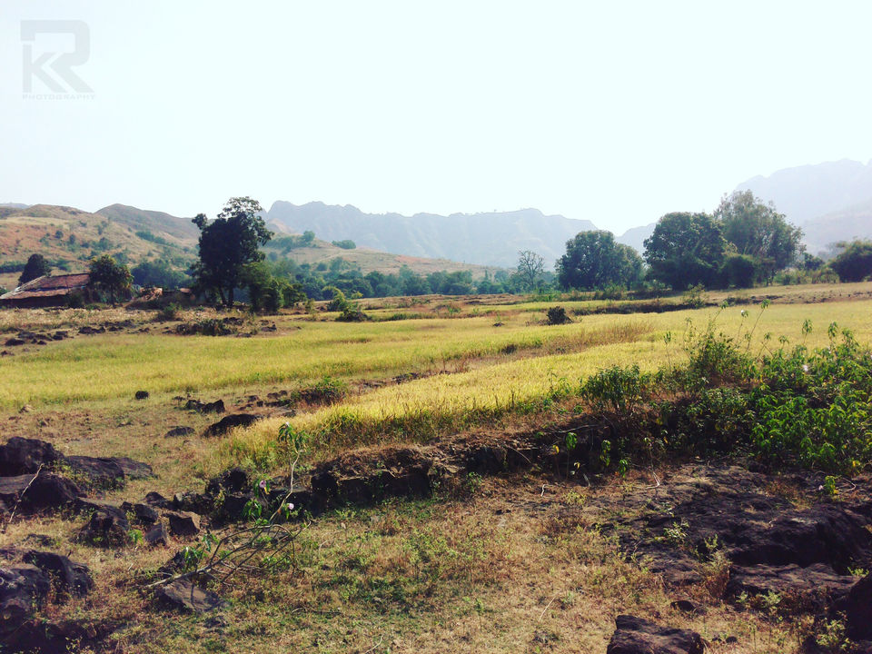 Photo of Unseen Waterfalls Tracks of Gujarat (Saribar, Dahel, Zarwani & Ninai) 9/25 by Krishan Ramani