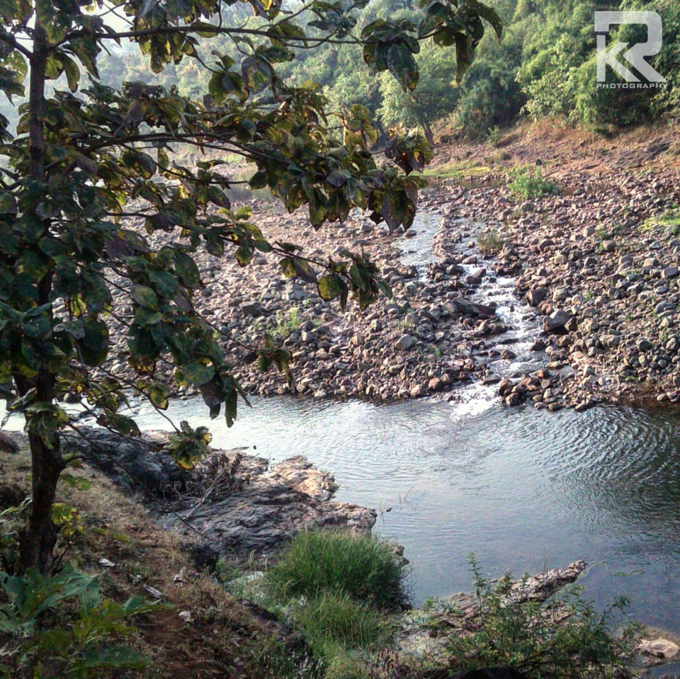 Photo of Unseen Waterfalls Tracks of Gujarat (Saribar, Dahel, Zarwani & Ninai) 12/25 by Krishan Ramani