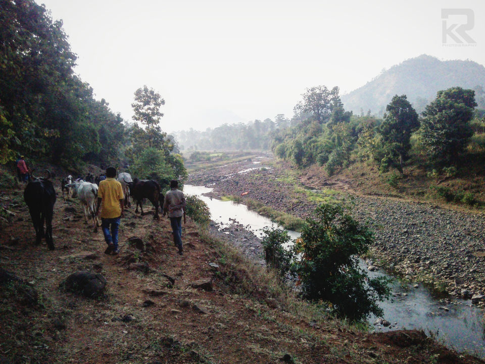 Photo of Unseen Waterfalls Tracks of Gujarat (Saribar, Dahel, Zarwani & Ninai) 13/25 by Krishan Ramani