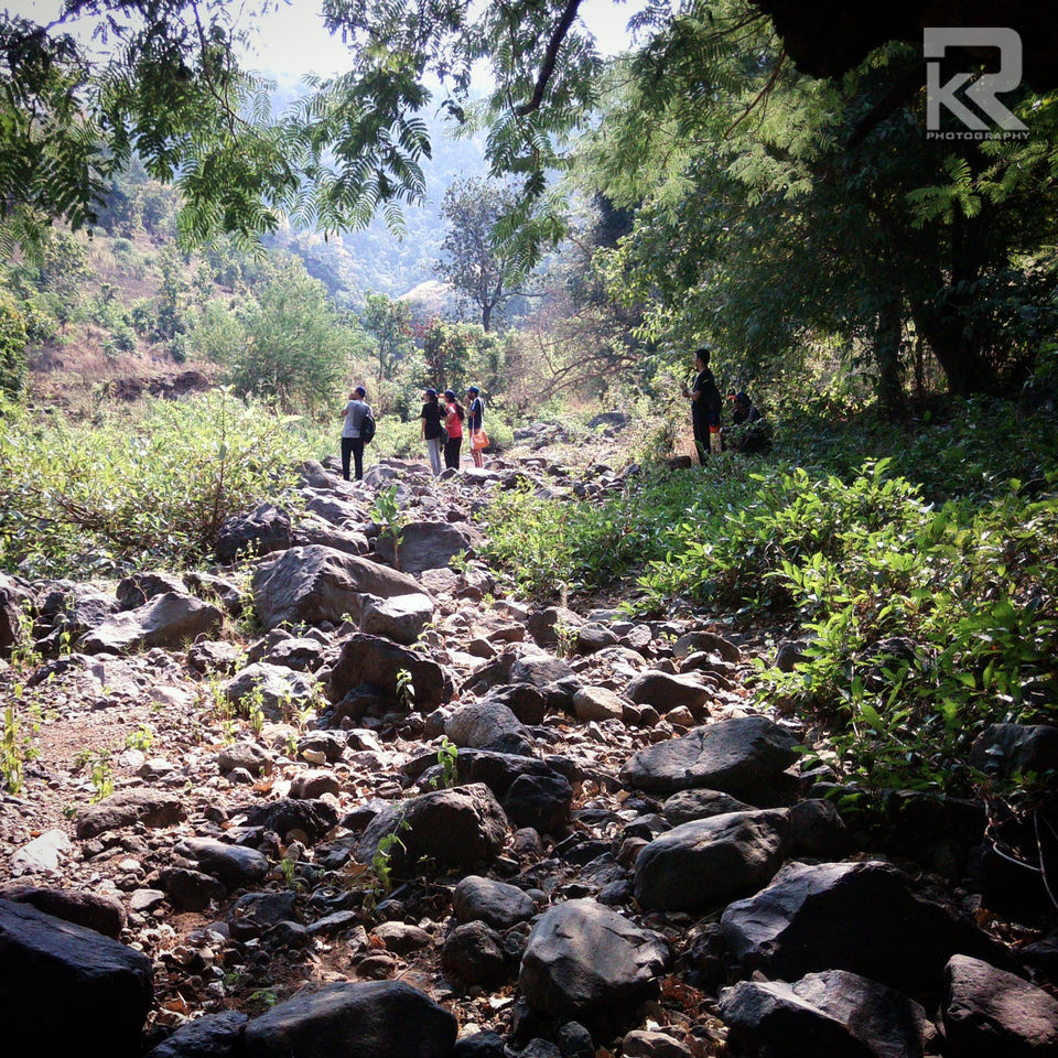 Photo of Unseen Waterfalls Tracks of Gujarat (Saribar, Dahel, Zarwani & Ninai) 19/25 by Krishan Ramani