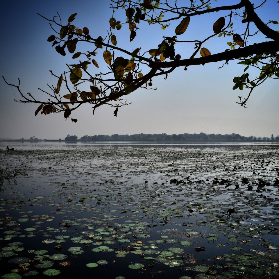 Photo of Rarely visited destinations in Gujarat 3/4 by Krishan Ramani