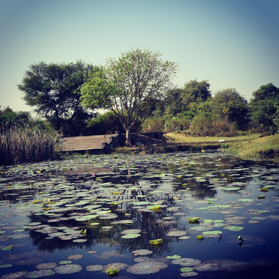 Photo of Rarely visited destinations in Gujarat 2/4 by Krishan Ramani