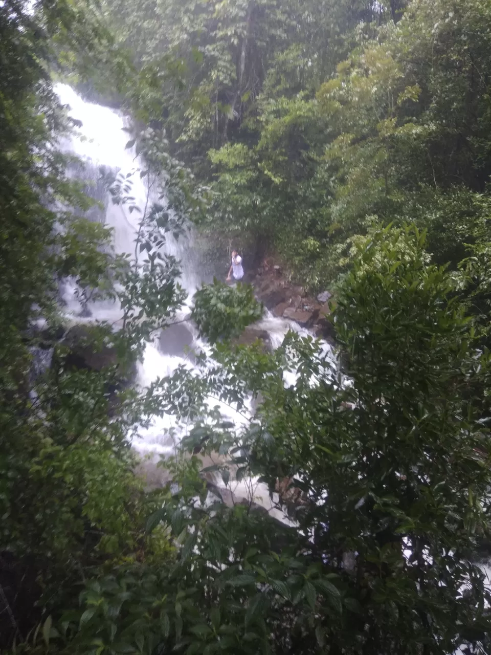 Photo of Virgin Waterfall Trek. by Chinmay Behera