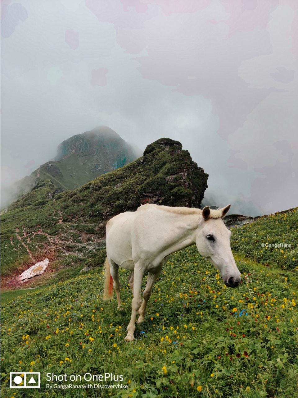 Photo of SaruTal Trek by Ganga Rana