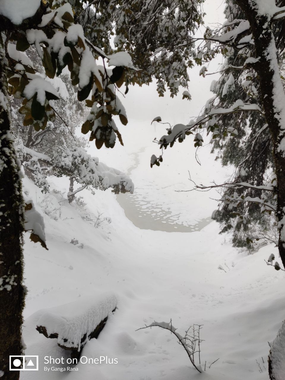 Photo of SaruTal Trek by Ganga Rana