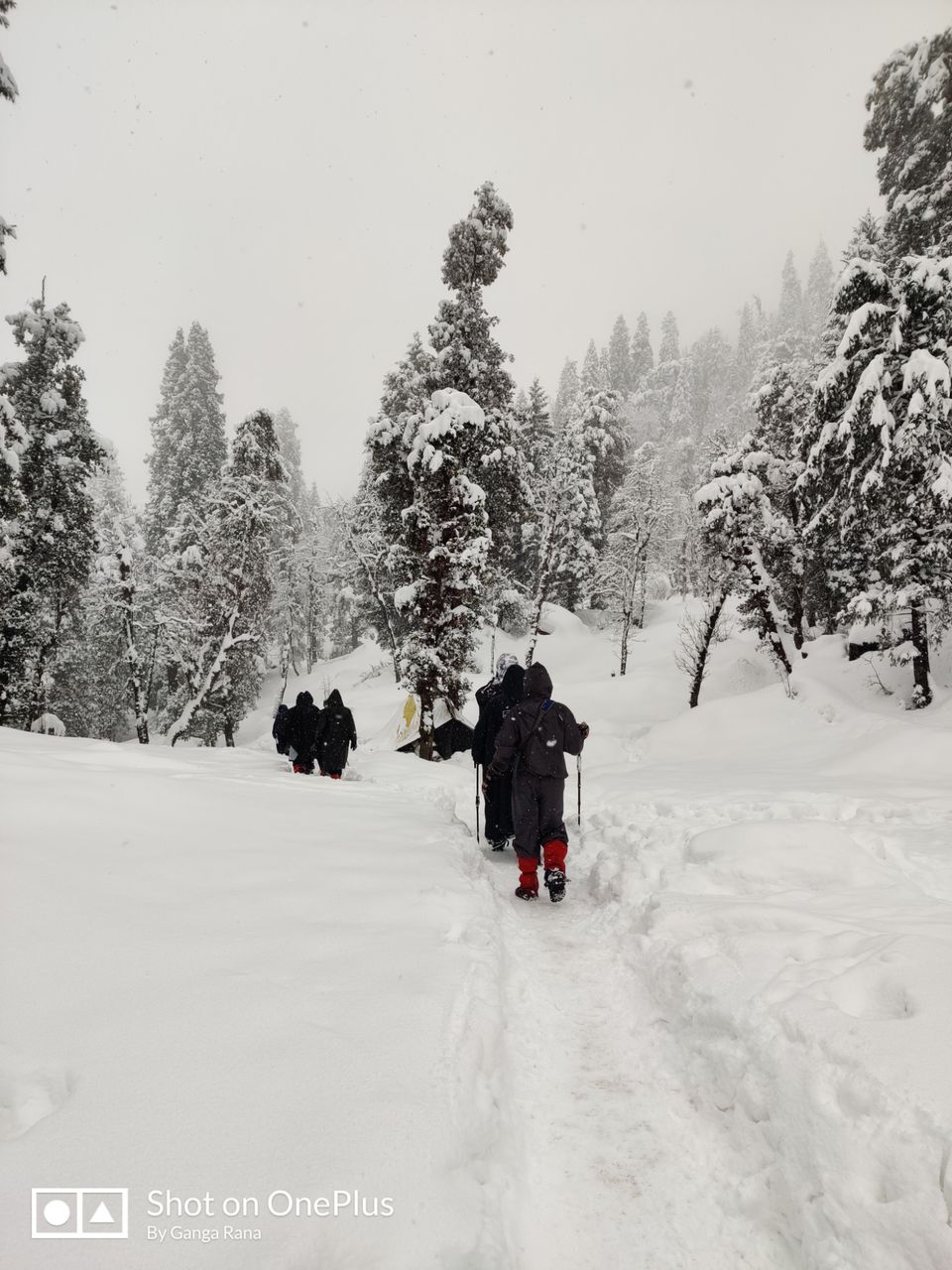 Photo of SaruTal Trek by Ganga Rana