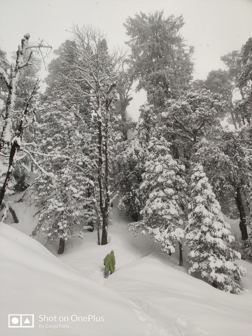 Photo of SaruTal Trek by Ganga Rana