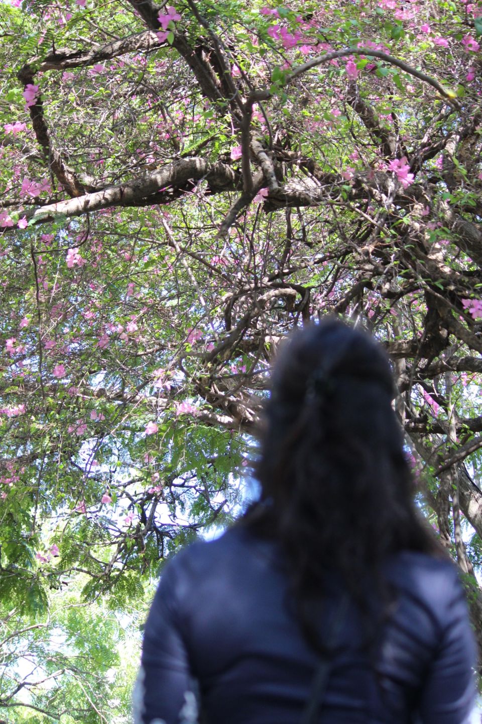 Photo of Unforgettable trip to pondicherry by Abhilasha Apurva