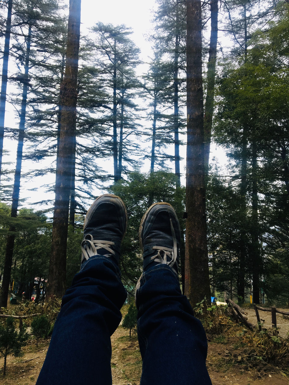 Photo of Kempty Range by Aman Garg