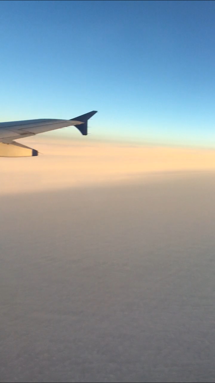 Photo of Travel DUBAI With Me Like A Local by Aman Garg
