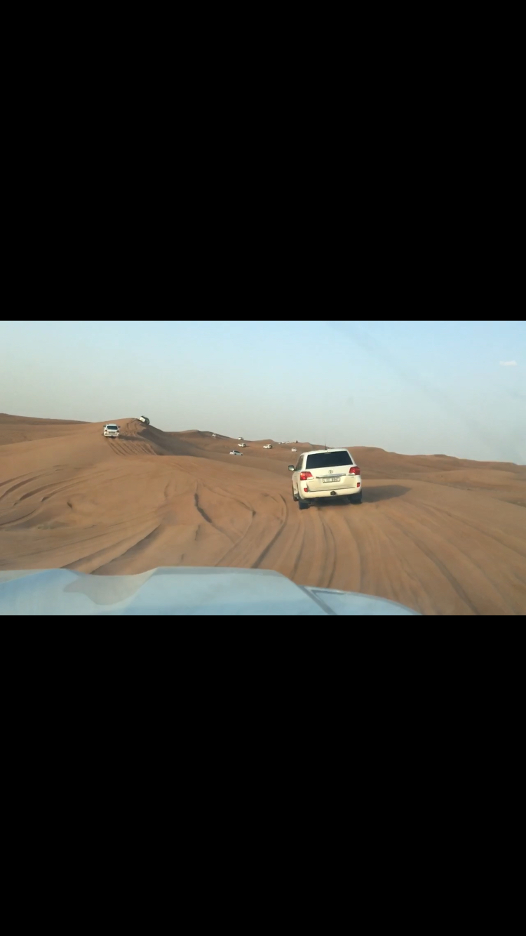 Photo of Travel DUBAI With Me Like A Local by Aman Garg