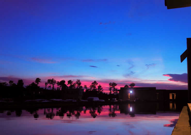Photo of Staycation at Tiger Palace Resort by Shishta Maurya