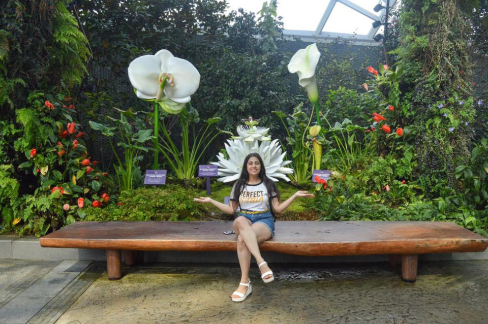 Photo of Singapore by Romika Singh