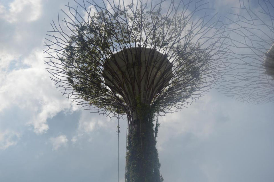Photo of Singapore by Romika Singh