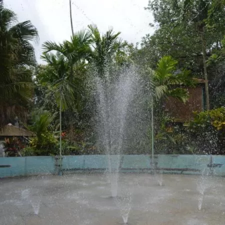 Photo of Silent Hills Resort, Manor, Maharashtra, India by Romika Singh