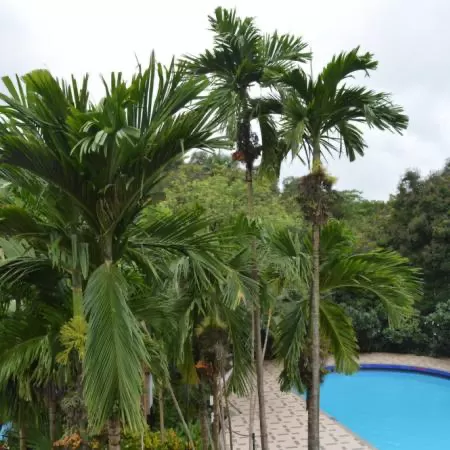 Photo of Silent Hills Resort, Manor, Maharashtra, India by Romika Singh