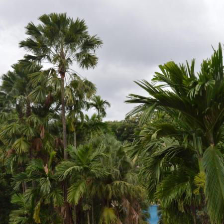 Photo of Silent Hills Resort, Manor, Maharashtra, India by Romika Singh
