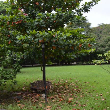 Photo of Silent Hills Resort, Manor, Maharashtra, India by Romika Singh