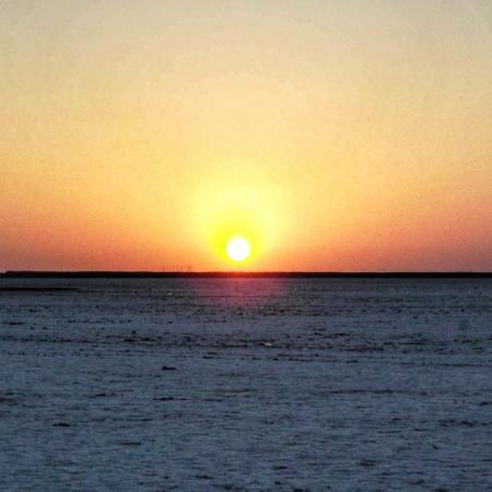 Photo of Rann Utsav 2020-Opening The Gateway Of Tourism For Kutch, India ! by Romika Singh