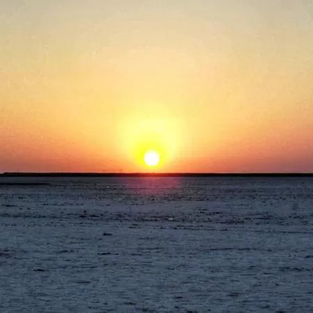 Photo of Rann Utsav 2020-Opening The Gateway Of Tourism For Kutch, India ! by Romika Singh