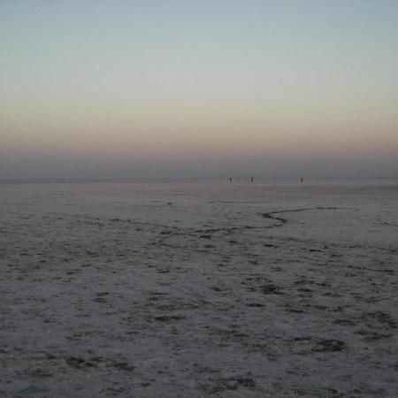 Photo of Rann Utsav 2020-Opening The Gateway Of Tourism For Kutch, India ! by Romika Singh