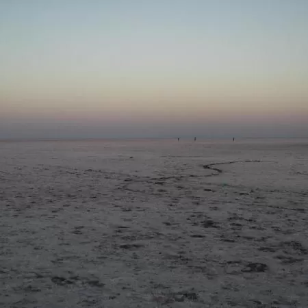 Photo of Rann Utsav 2020-Opening The Gateway Of Tourism For Kutch, India ! by Romika Singh