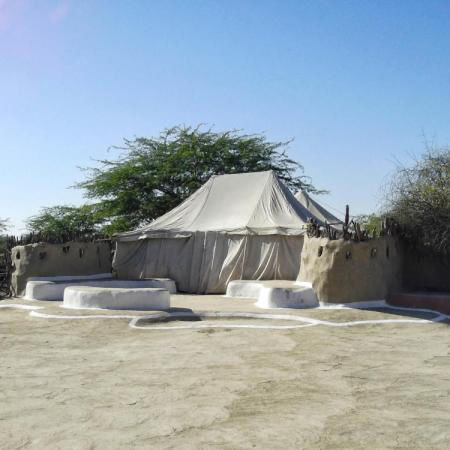 Photo of Rann Utsav 2020-Opening The Gateway Of Tourism For Kutch, India ! by Romika Singh