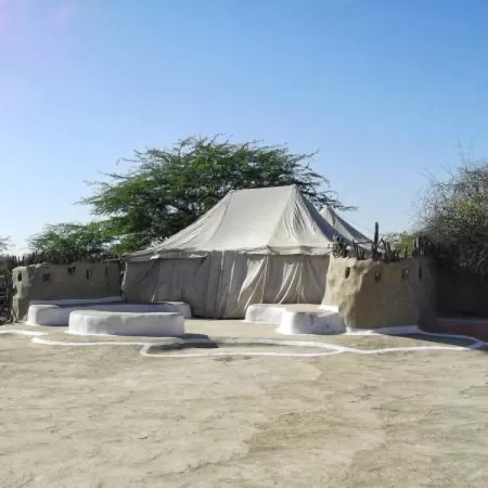 Photo of Rann Utsav 2020-Opening The Gateway Of Tourism For Kutch, India ! by Romika Singh