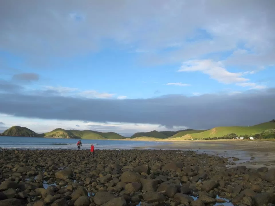Photo of North Island, New Zealand by Prana 