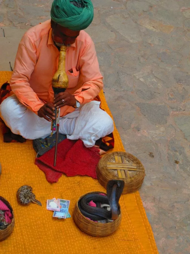 Photo of Jaipur, Rajasthan, India by Prana