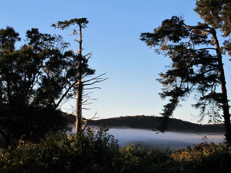Photo of Horton Plains, Nuwara Eliya, Central Province, Sri Lanka by Prana