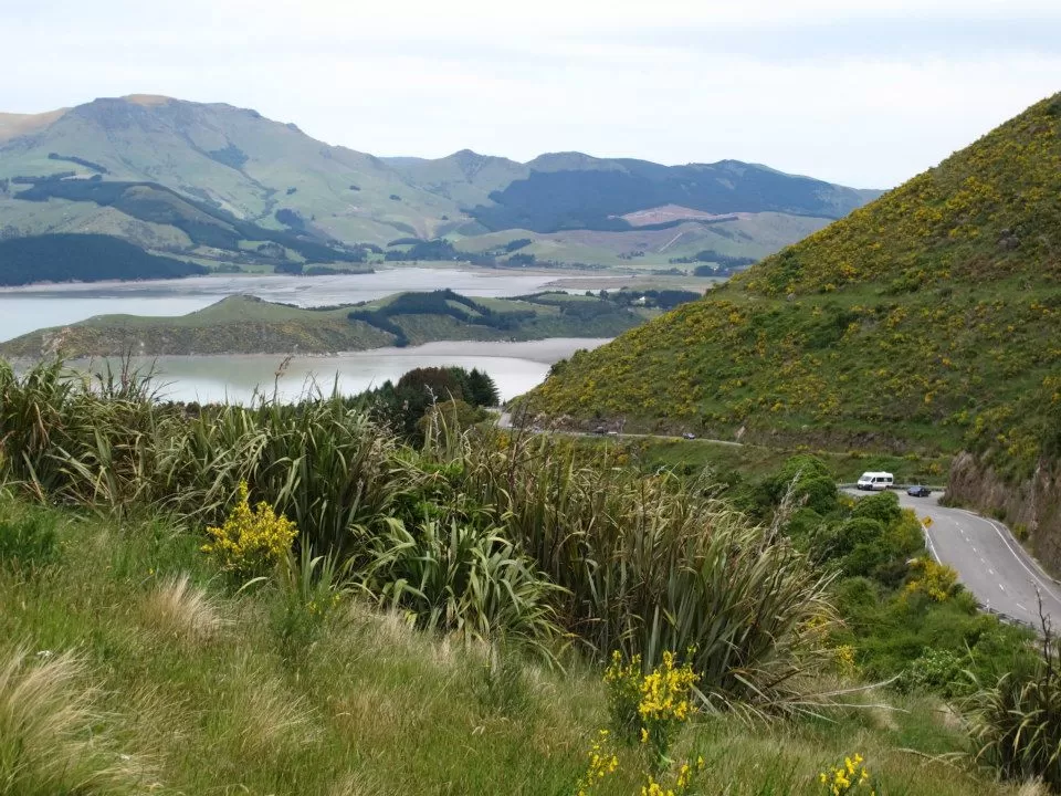 Photo of South Island, New Zealand by Prana 