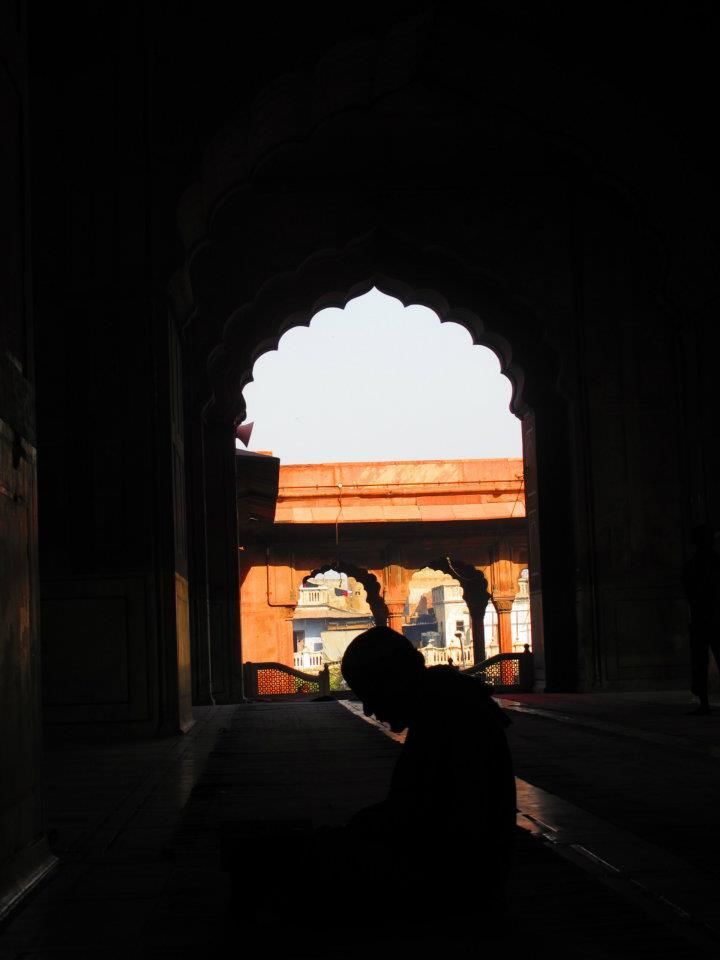 Photo of You Must Go India - Part II ( Day 6 - 11 ) 5/29 by Prana