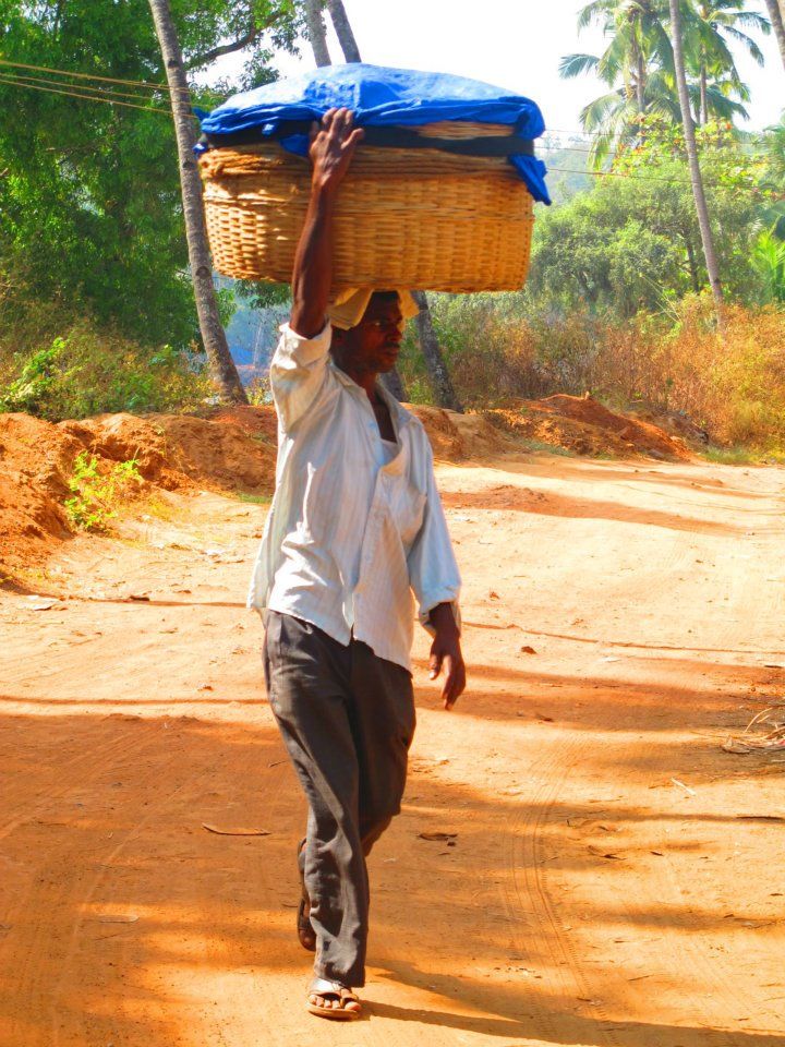 Photo of You Must Go India - Part II ( Day 6 - 11 ) 18/29 by Prana
