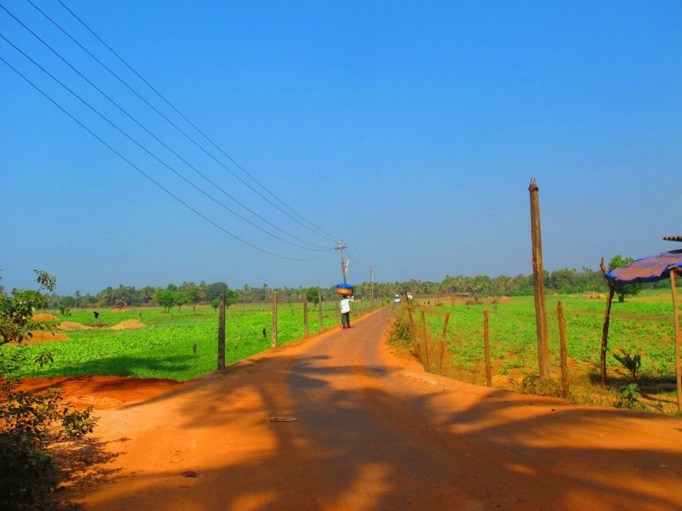 Photo of You Must Go India - Part II ( Day 6 - 11 ) 17/29 by Prana