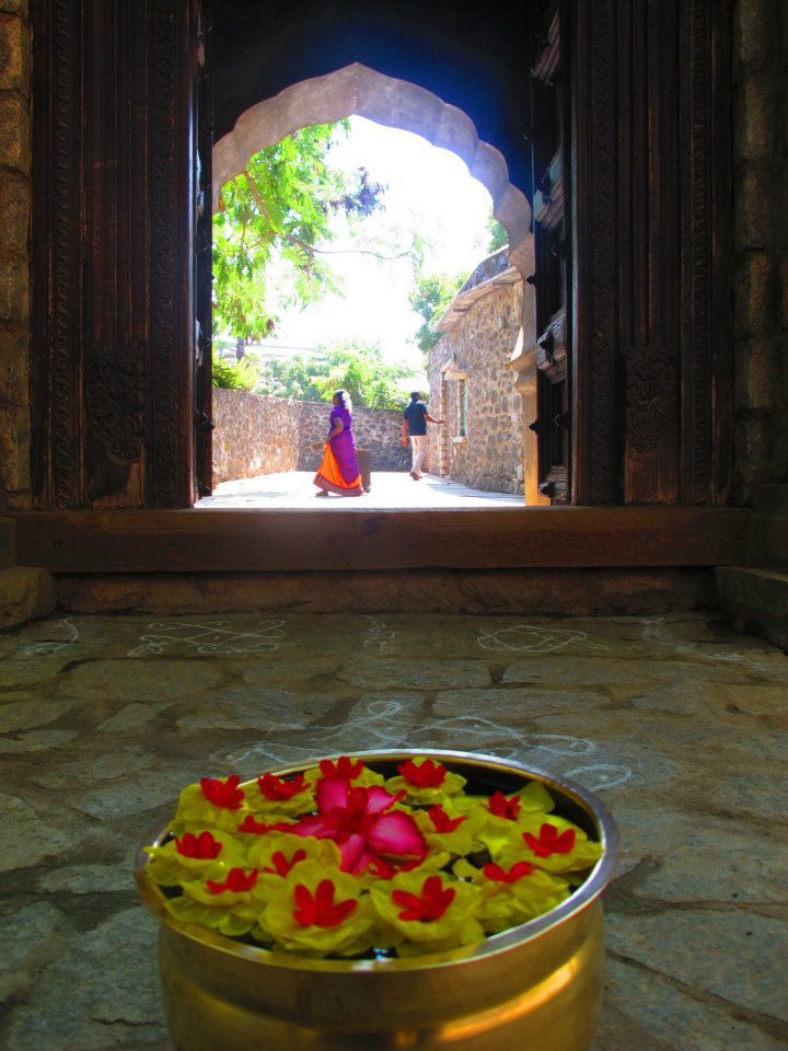 Photo of You Must Go India - Part II ( Day 6 - 11 ) 27/29 by Prana