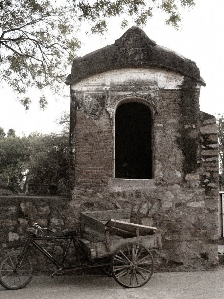Photo of You MUST go to India - Part I ( Day 1 - 5 ) 53/53 by Prana