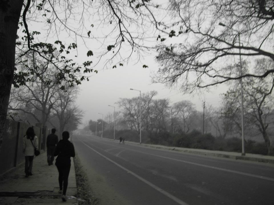 Photo of You MUST go to India - Part I ( Day 1 - 5 ) 14/53 by Prana