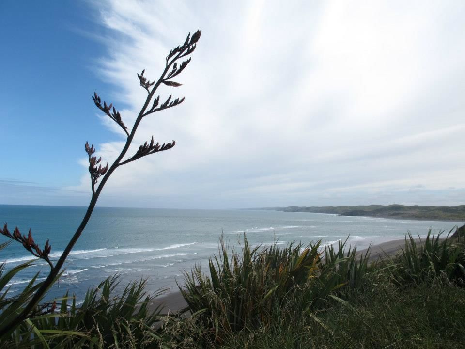 Photo of New Zealand - Survival & Travel Tips 14/16 by Prana