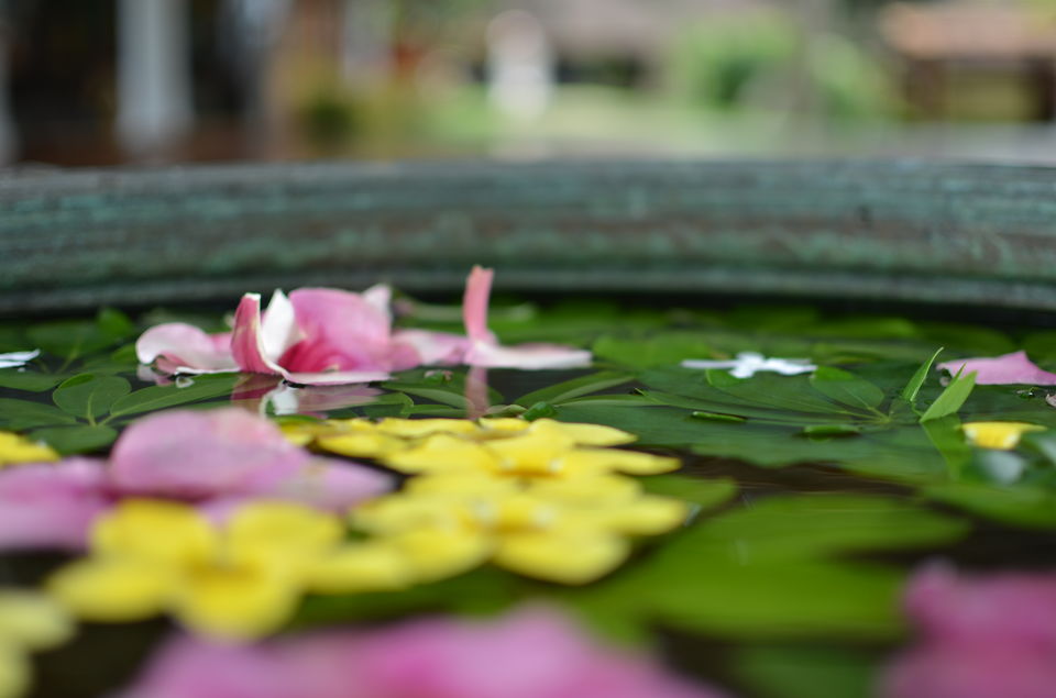 Photo of Best Luxurious Resort in Kerala,Kumarakom Lake Resort[price-24,000/nyt approx] #luxurygetaway 3/27 by AnaZir Vlog